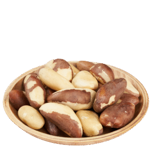 brazil nut