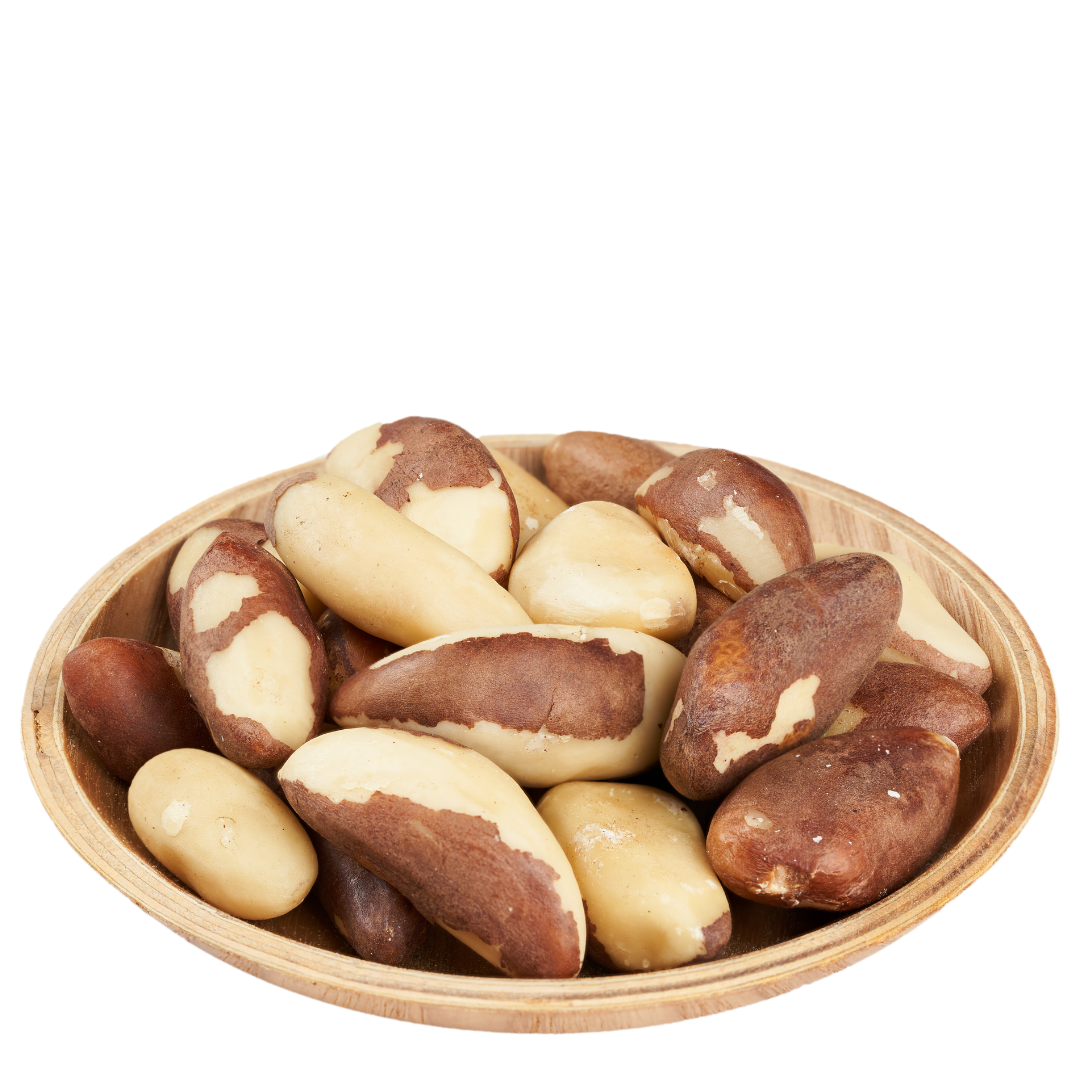 brazil nut brazil nut